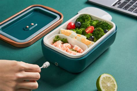 can you put electric lunch box in fridge|electric lunch box heater.